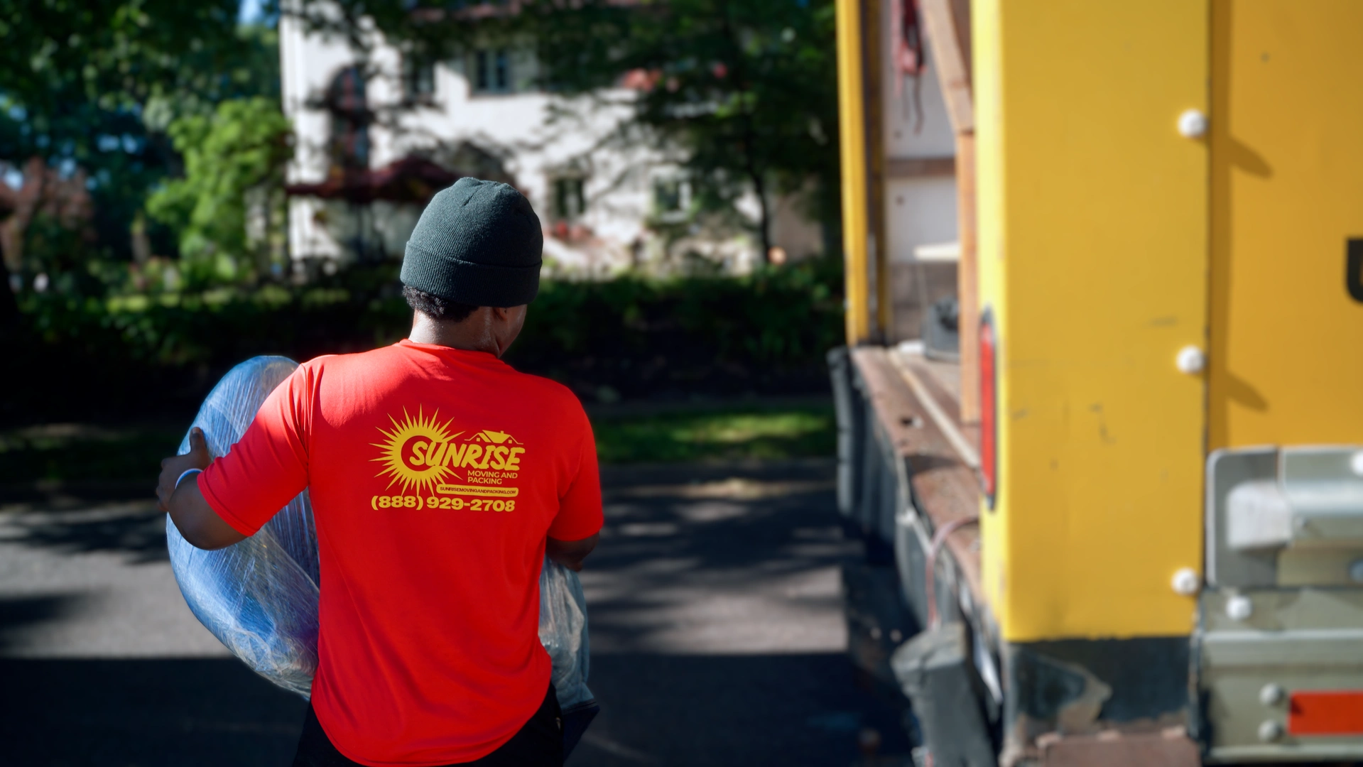 Our team member